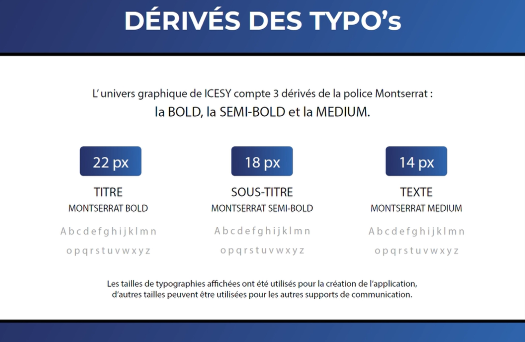 Charte-graphique-icesy-10