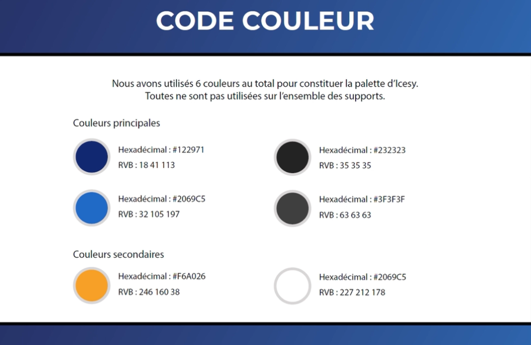 Charte-graphique-icesy-12