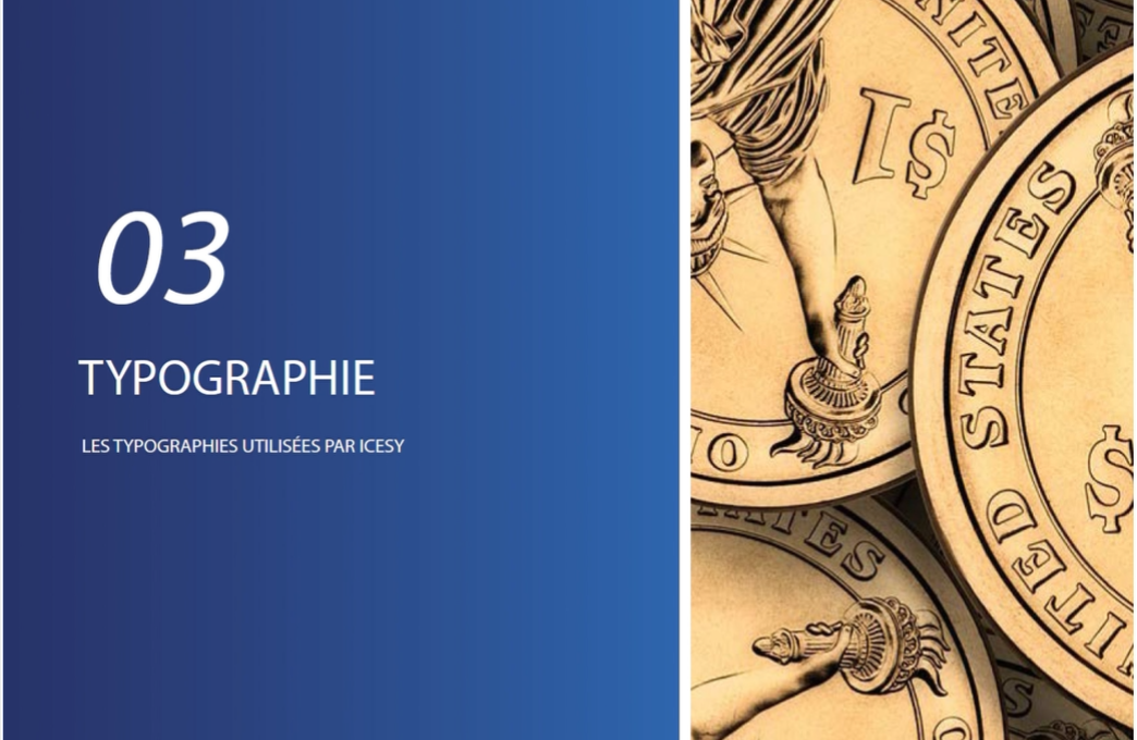 Charte-graphique-icesy-9