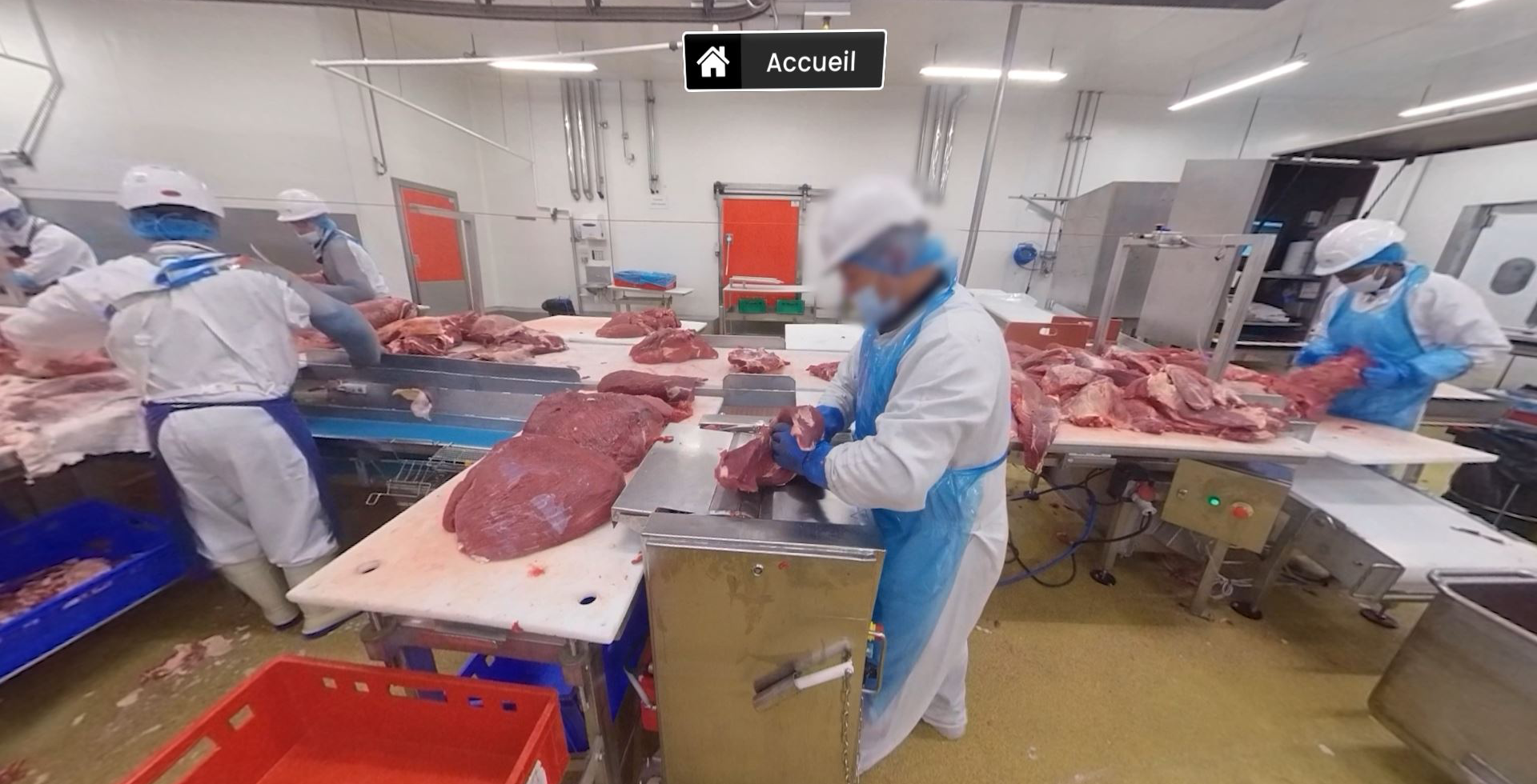 EVS-resize-epleucheuse