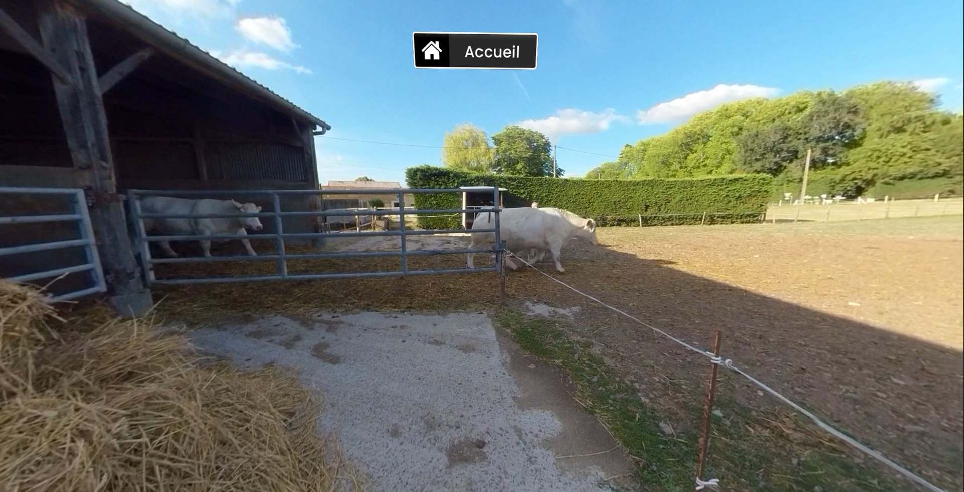 EVS-resize-producteur